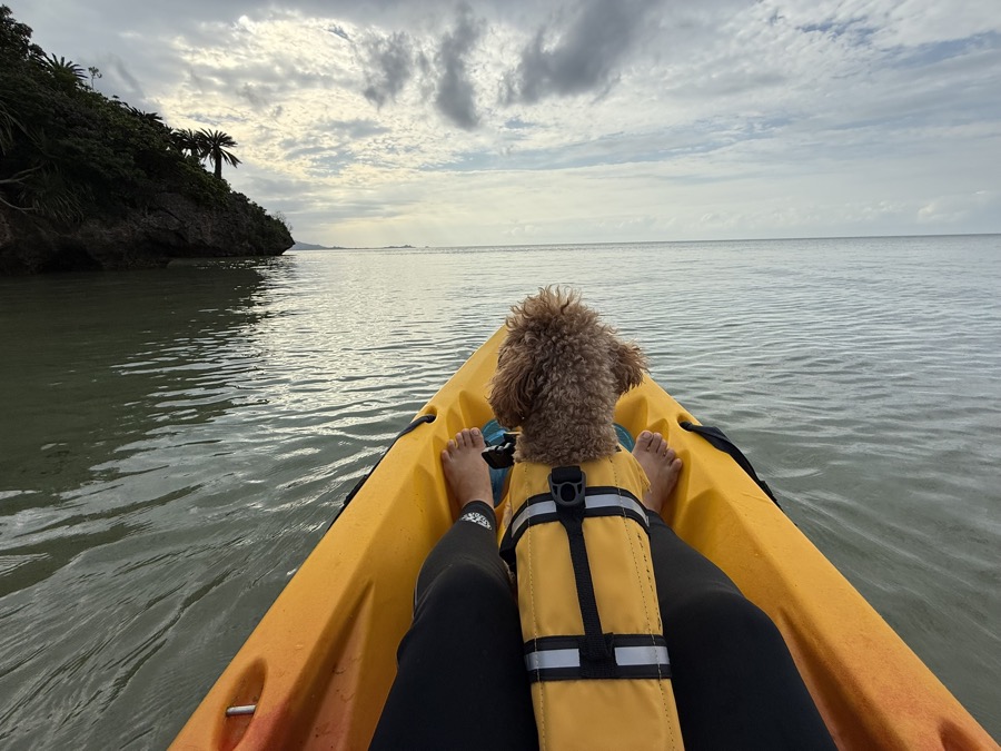 石垣島で「1組限定」のプライベートカヌーツアーをご用意しました