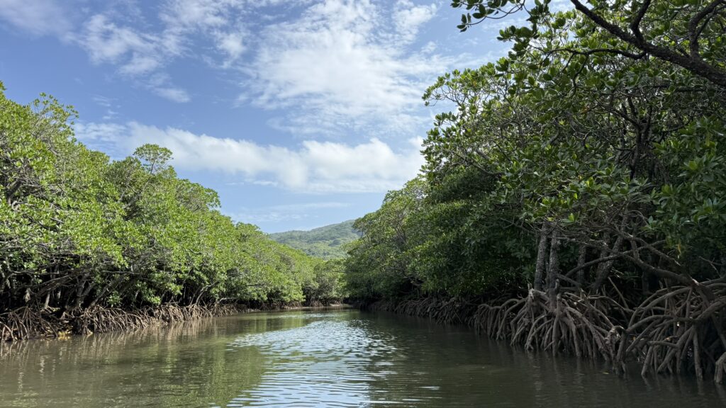 １１月下旬石垣島旅行の服装と持ち物