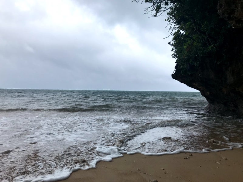 台風17号(ターファー)さん