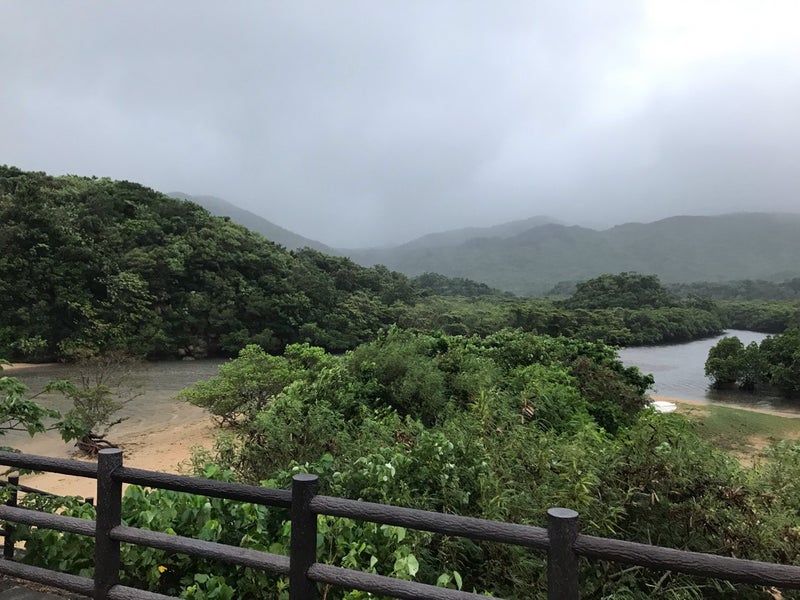 台風13号のレンレンちゃん