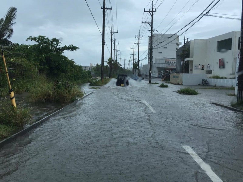 台風後のマングローブカヤック